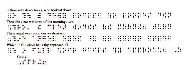 Duxbury Braille Translator