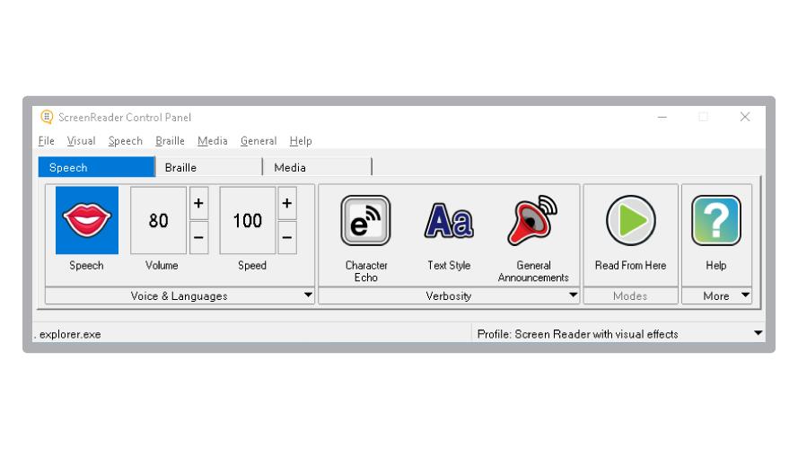 screenshot image of the Dolphin ScreenReader control panel - featuring settings such as Speech, Volume, Speed, Echo, Text Styles, Announcements, and Help
